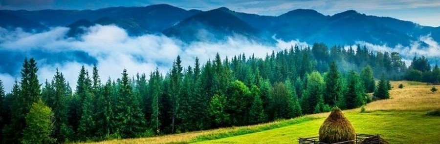 Rumania - Bucovina