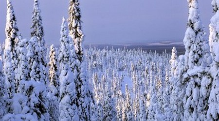 Paisaje de Laponia