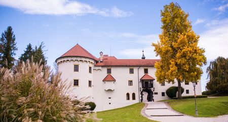 Castillo Renacentista de Bogensperk