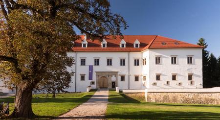 Castillo de Negova