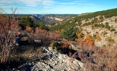 P.N. Alto Tajo