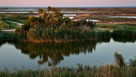 Delta del Ebro