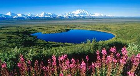 Paisaje de Alaska