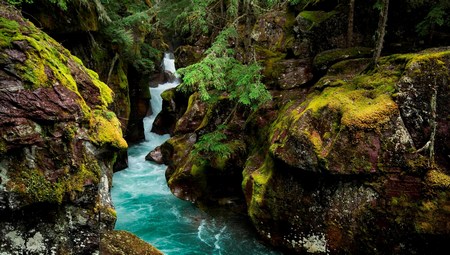 Avalanche Creek