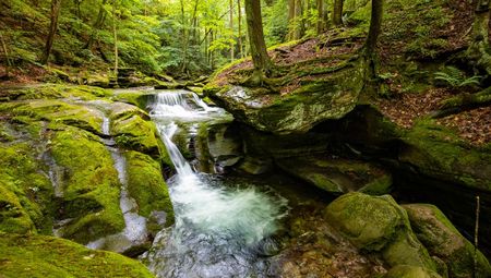 Bear Hole Brook - Catskill Mountains