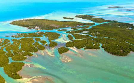 Cayos - Florida Keys