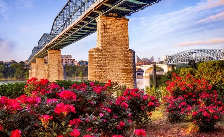 Chattanooga: Puente de Walnut Street