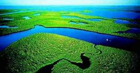 Parque Nacional de los Everglades