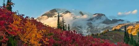 Mount Rainier