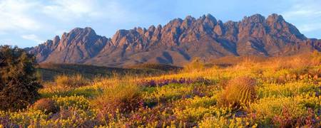 Organ Mountains - New Mexico