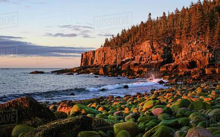 Otter Cliffs