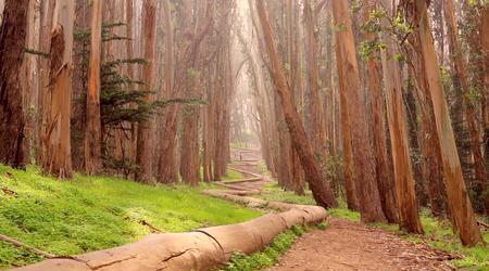 San Francisco: Parque Nacional Presidio