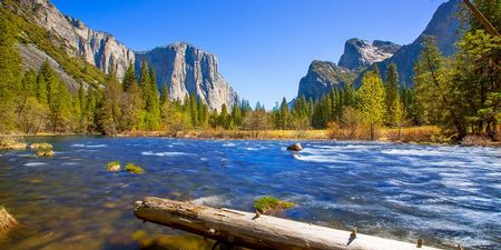 Yosemite NP