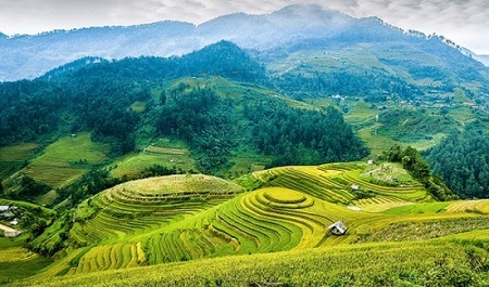 Provincia de Yen Bai - Terrazas de Arroz